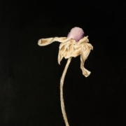 Zeichnen auf Malreise und im Atelierkurs-Kunstkurs