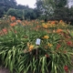 Kunstkurs-Malkurs Wangeliner Garten Mecklenburg-Vorpommern