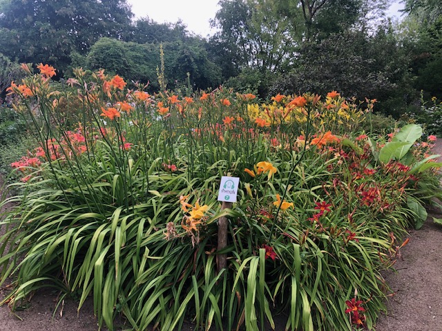 Kunstkurs Wangeliner Garten Mecklenburg-Vorpommern