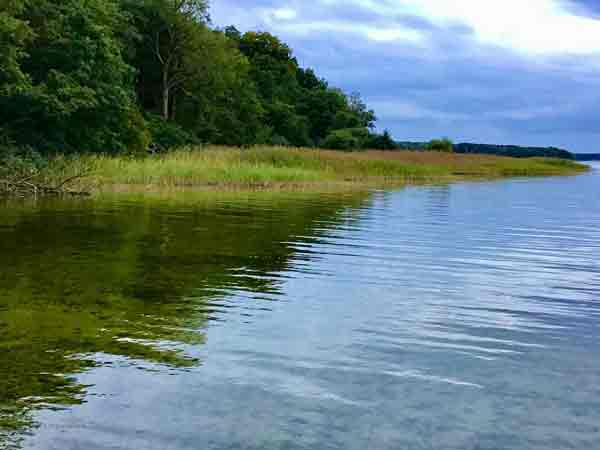 Ein Malkurs oder Kunstkurse am Plauer See mit der Kunstschule Hamburg eröffnet neue Maltechniken und Farbmischungen. Malkurs oder Kunstkurse am Plauer See-brasch-kunstkurse, Mecklenburg Vorpommern