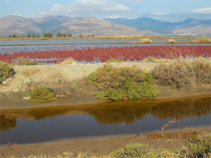 Malreise Griechenland/ Insel Lesbos